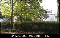 Nokia Lumia 930 - Bilder mit der Kamera und Meinungen zur Qualität-lg-g3.jpg