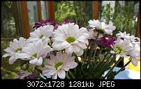 Nokia Lumia 930 - Bilder mit der Kamera und Meinungen zur Qualität-nokia.jpg