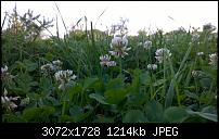 Nokia Lumia 930 - Bilder mit der Kamera und Meinungen zur Qualität-wp_20140725_18_50_27_pro.jpg