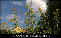 Nokia Lumia 930 - Bilder mit der Kamera und Meinungen zur Qualität-wp_20140725_18_56_15_pro.jpg