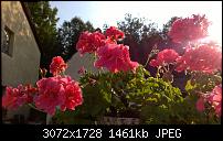 Nokia Lumia 930 - Bilder mit der Kamera und Meinungen zur Qualität-wp_20140725_18_56_50_pro.jpg