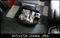 Nokia Lumia 930 - Bilder mit der Kamera und Meinungen zur Qualität-wp_20140726_003.jpg