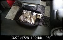 Nokia Lumia 930 - Bilder mit der Kamera und Meinungen zur Qualität-wp_20140726_08_18_01_pro.jpg