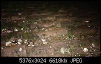 Nokia Lumia 930 - Bilder mit der Kamera und Meinungen zur Qualität-wp_20140726_22_36_46_pro__highres.jpg