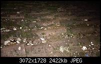 Nokia Lumia 930 - Bilder mit der Kamera und Meinungen zur Qualität-wp_20140726_22_37_02_pro.jpg