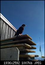 Nokia Lumia 930 - Bilder mit der Kamera und Meinungen zur Qualität-wp_20140802_10_06_51_pro.jpg