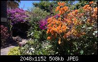 Lumia 930 - meine Erfahrungen-10454075_620166758098304_7847182586027822138_o.jpg