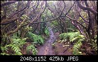 Lumia 930 - meine Erfahrungen-10514444_620167914764855_4006067488473278385_o.jpg