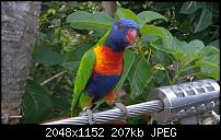 Lumia 930 - meine Erfahrungen-10517279_620168971431416_8358510411186643263_o.jpg