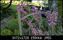 Nokia Lumia 930 - Bilder mit der Kamera und Meinungen zur Qualität-wp_20140717_18_51_09_pro.jpg