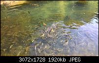 Nokia Lumia 930 - Bilder mit der Kamera und Meinungen zur Qualität-wp_20140719_15_35_54_pro.jpg