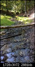 Nokia Lumia 930 - Bilder mit der Kamera und Meinungen zur Qualität-wp_20140719_16_35_39_pro.jpg