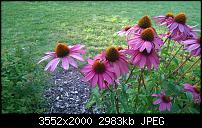 Nokia Lumia 930 - Bilder mit der Kamera und Meinungen zur Qualität-wp_20140808_19_12_18_pro.jpg