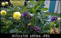 Nokia Lumia 930 - Bilder mit der Kamera und Meinungen zur Qualität-wp_20140821_12_13_01_pro.jpg