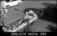 Nokia Lumia 930 - Bilder mit der Kamera und Meinungen zur Qualität-2014_10_19_13_43_48_proshot.jpg