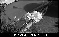 Nokia Lumia 930 - Bilder mit der Kamera und Meinungen zur Qualität-2014_10_19_13_44_12_proshot.jpg