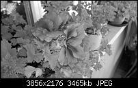 Nokia Lumia 930 - Bilder mit der Kamera und Meinungen zur Qualität-2014_10_19_14_41_48_proshot.jpg