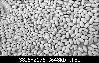 Nokia Lumia 930 - Bilder mit der Kamera und Meinungen zur Qualität-2014_10_19_15_08_09_proshot.jpg