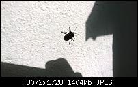 Nokia Lumia 930 - Bilder mit der Kamera und Meinungen zur Qualität-wp_20141019_13_48_50_pro.jpg