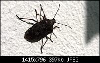 Nokia Lumia 930 - Bilder mit der Kamera und Meinungen zur Qualität-wp_20141019_13_48_50_pro-2-.jpg