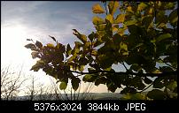 Nokia Lumia 930 - Bilder mit der Kamera und Meinungen zur Qualität-wp_20141102_14_53_18_pro.jpg