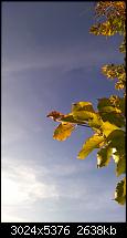 Nokia Lumia 930 - Bilder mit der Kamera und Meinungen zur Qualität-wp_20141102_14_53_41_pro.jpg