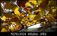 Nokia Lumia 930 - Bilder mit der Kamera und Meinungen zur Qualität-wp_20141102_14_54_44_pro.jpg