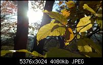 Nokia Lumia 930 - Bilder mit der Kamera und Meinungen zur Qualität-wp_20141102_14_54_49_pro.jpg