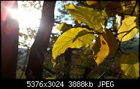 Nokia Lumia 930 - Bilder mit der Kamera und Meinungen zur Qualität-wp_20141102_14_54_53_pro.jpg