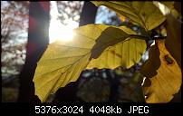 Nokia Lumia 930 - Bilder mit der Kamera und Meinungen zur Qualität-wp_20141102_14_54_59_pro.jpg