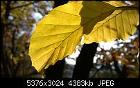 Nokia Lumia 930 - Bilder mit der Kamera und Meinungen zur Qualität-wp_20141102_14_55_14_pro.jpg