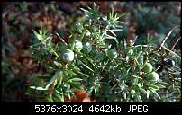 Nokia Lumia 930 - Bilder mit der Kamera und Meinungen zur Qualität-wp_20141102_14_59_57_pro.jpg