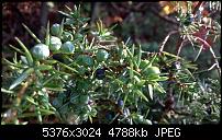 Nokia Lumia 930 - Bilder mit der Kamera und Meinungen zur Qualität-wp_20141102_15_00_02_pro.jpg