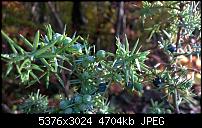 Nokia Lumia 930 - Bilder mit der Kamera und Meinungen zur Qualität-wp_20141102_15_00_10_pro.jpg