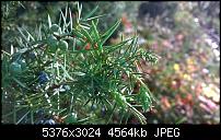 Nokia Lumia 930 - Bilder mit der Kamera und Meinungen zur Qualität-wp_20141102_15_00_41_pro.jpg