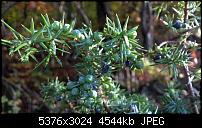 Nokia Lumia 930 - Bilder mit der Kamera und Meinungen zur Qualität-wp_20141102_15_00_58_pro.jpg