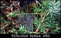 Nokia Lumia 930 - Bilder mit der Kamera und Meinungen zur Qualität-wp_20141102_15_01_51_pro.jpg