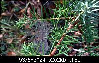 Nokia Lumia 930 - Bilder mit der Kamera und Meinungen zur Qualität-wp_20141102_15_01_57_pro.jpg