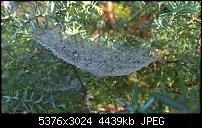 Nokia Lumia 930 - Bilder mit der Kamera und Meinungen zur Qualität-wp_20141102_15_03_03_pro.jpg