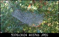 Nokia Lumia 930 - Bilder mit der Kamera und Meinungen zur Qualität-wp_20141102_15_03_08_pro.jpg