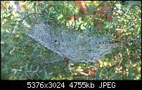 Nokia Lumia 930 - Bilder mit der Kamera und Meinungen zur Qualität-wp_20141102_15_03_20_pro.jpg