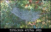 Nokia Lumia 930 - Bilder mit der Kamera und Meinungen zur Qualität-wp_20141102_15_03_23_pro.jpg