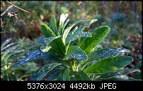 Nokia Lumia 930 - Bilder mit der Kamera und Meinungen zur Qualität-wp_20141102_15_06_33_pro.jpg