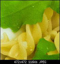 Nokia Lumia 930 - Bilder mit der Kamera und Meinungen zur Qualität-wp_20140911_20_59_51_raw__highres_crop.jpg