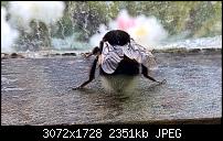 Nokia Lumia 930 - Bilder mit der Kamera und Meinungen zur Qualität-wp_20150508_16_46_44_pro.jpg