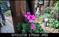 Nokia Lumia 930 - Bilder mit der Kamera und Meinungen zur Qualität-wp_20150511_16_06_19_pro.jpg