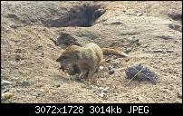 Nokia Lumia 930 - Bilder mit der Kamera und Meinungen zur Qualität-wp_20150711_09_51_56_rich.jpg