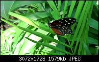 Nokia Lumia 930 - Bilder mit der Kamera und Meinungen zur Qualität-wp_20150711_10_19_04_rich.jpg