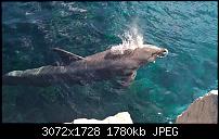 Nokia Lumia 930 - Bilder mit der Kamera und Meinungen zur Qualität-wp_20150711_10_54_35_rich.jpg