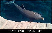 Nokia Lumia 930 - Bilder mit der Kamera und Meinungen zur Qualität-wp_20150711_11_02_25_rich.jpg